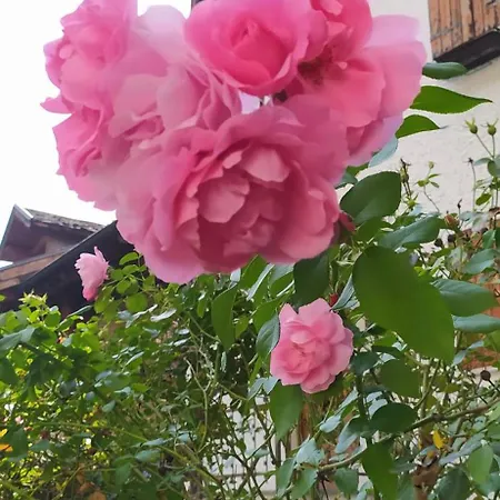 Ca Gianarin